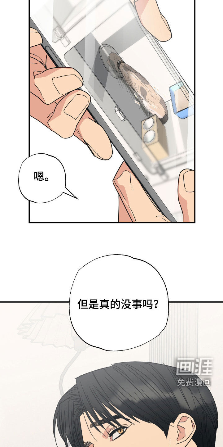 猫大爷和我漫画-图6