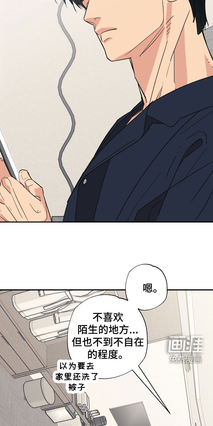 猫大爷和我漫画-图7