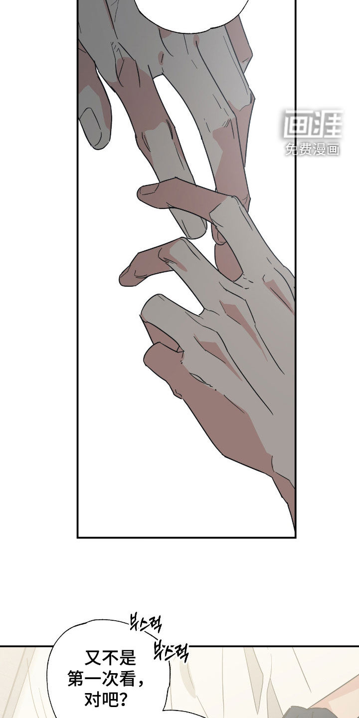 猫大爷和我漫画-图17