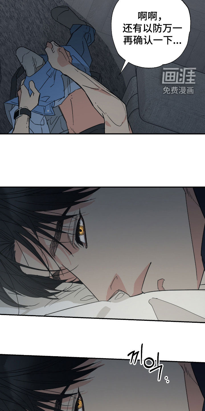 猫大爷和我漫画-图19