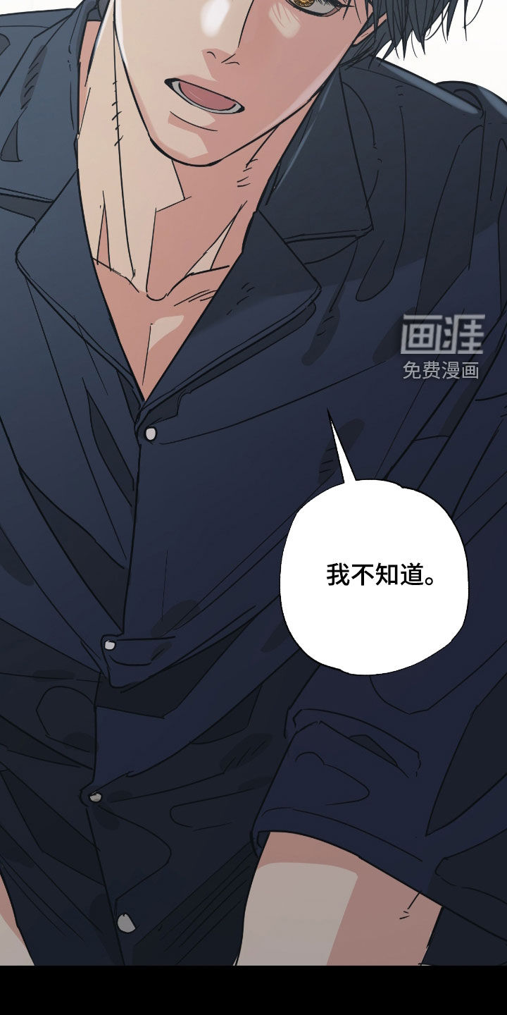猫大爷和我漫画-图5