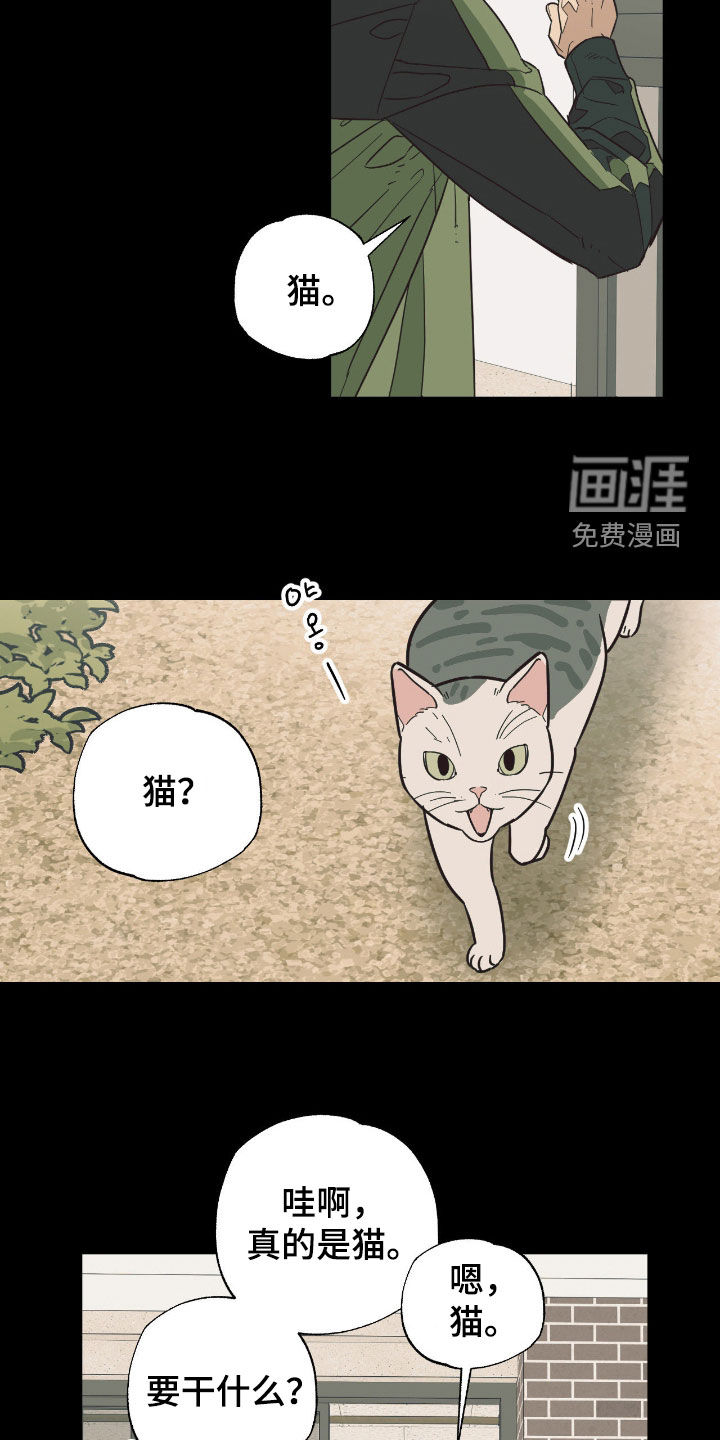 猫大爷和我漫画-图13