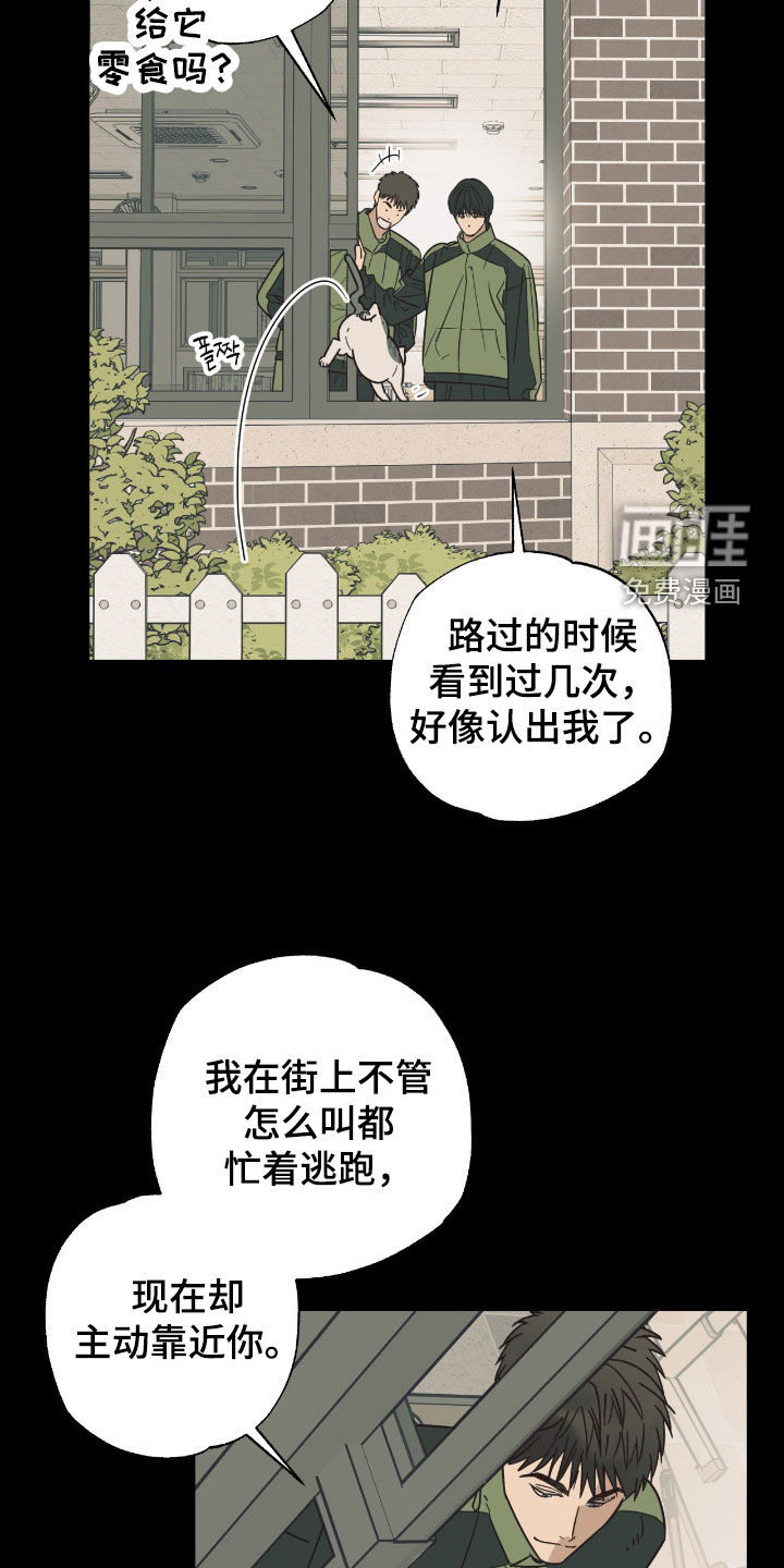 猫大爷和我漫画-图14