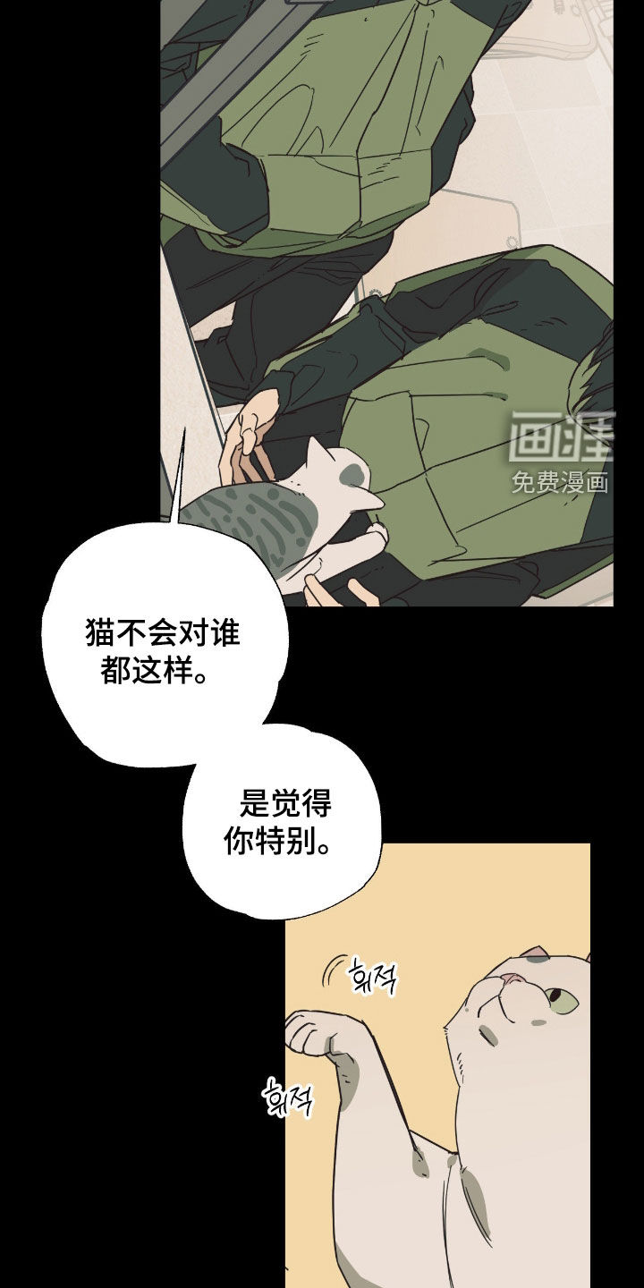 猫大爷和我漫画-图15