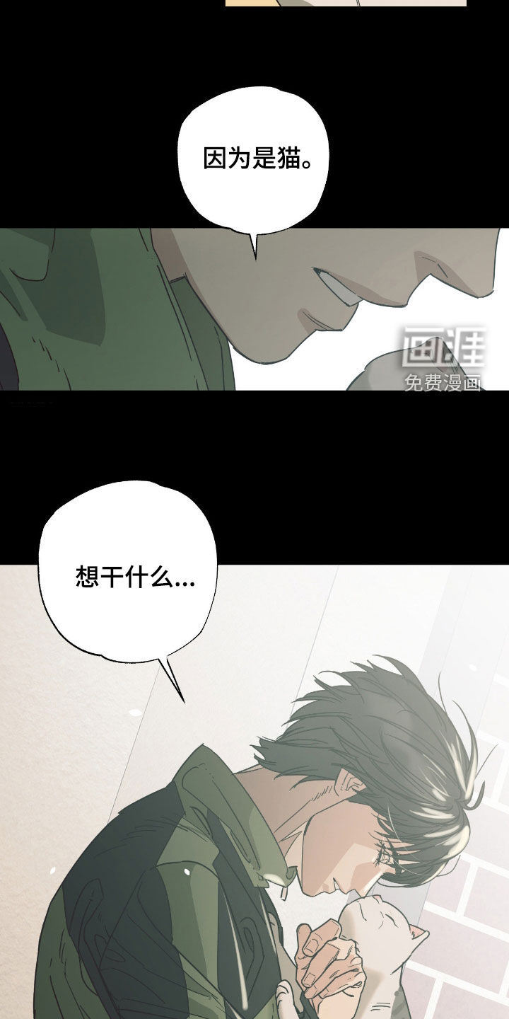 猫大爷和我漫画-图16