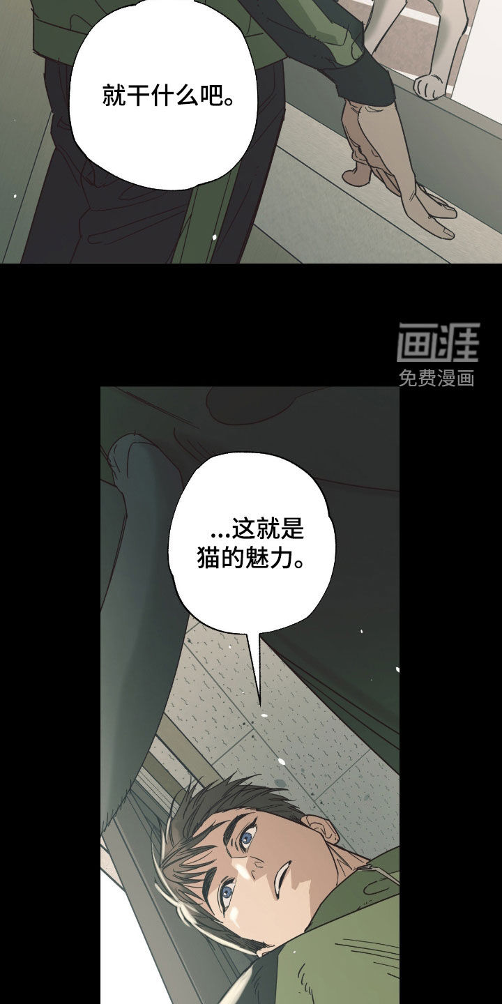猫大爷和我漫画-图18