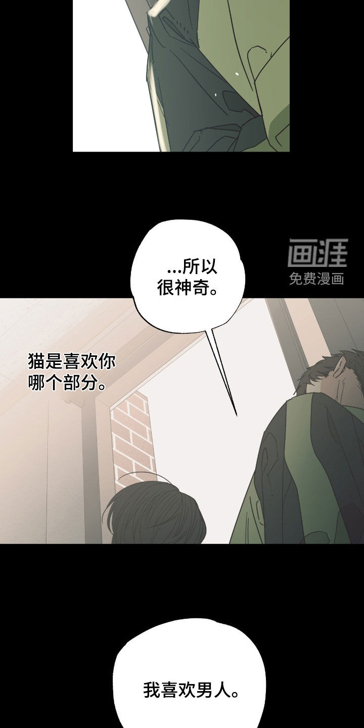 猫大爷和我漫画-图19