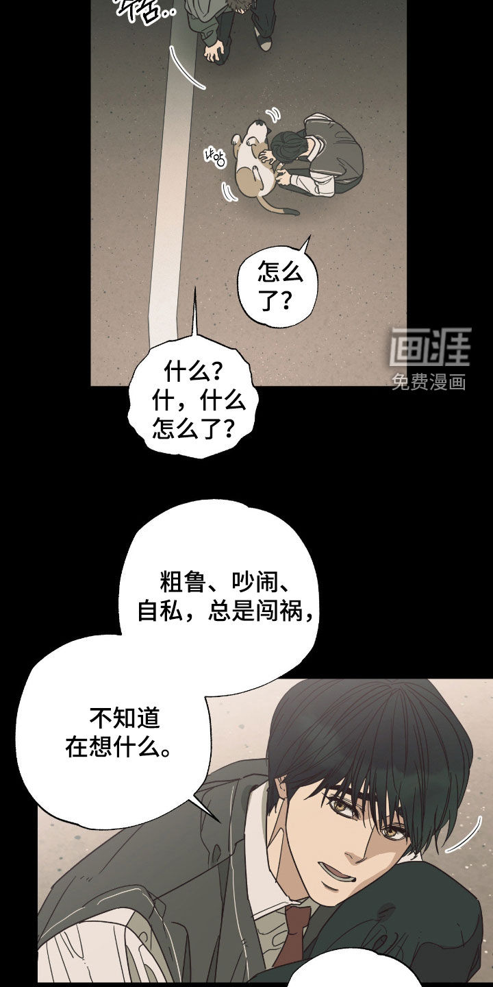 猫大爷和我漫画-图22