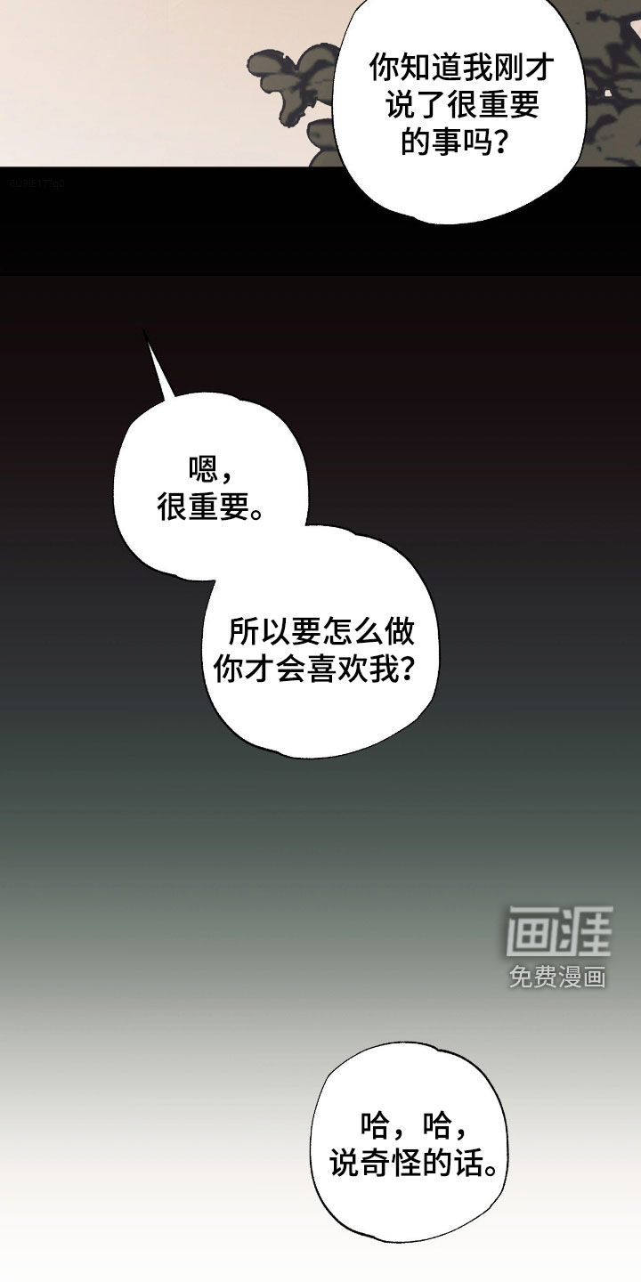 猫大爷和我漫画-图4