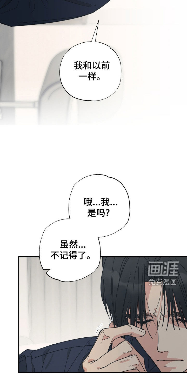 猫大爷和我漫画-图7
