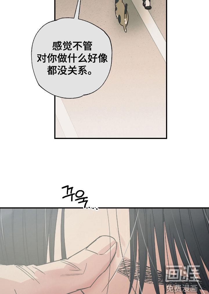 猫大爷和我漫画-图11