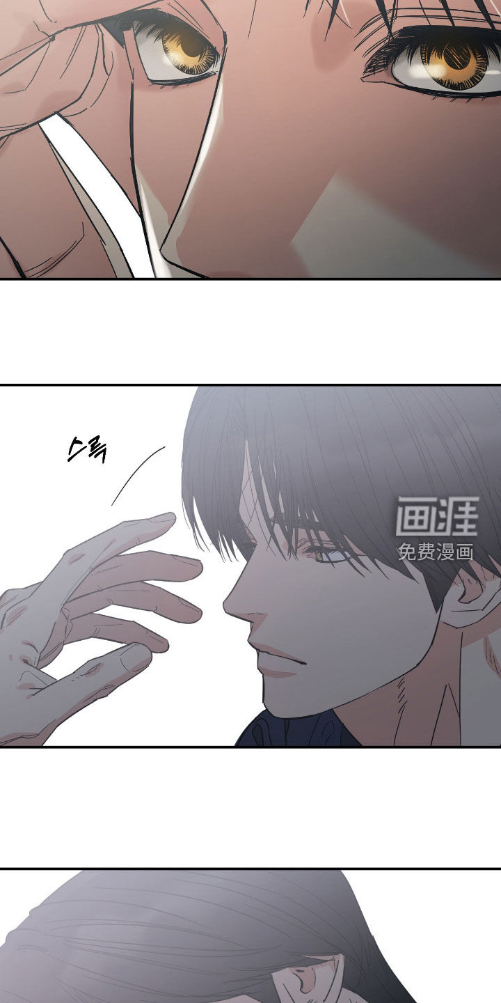 猫大爷和我漫画-图12