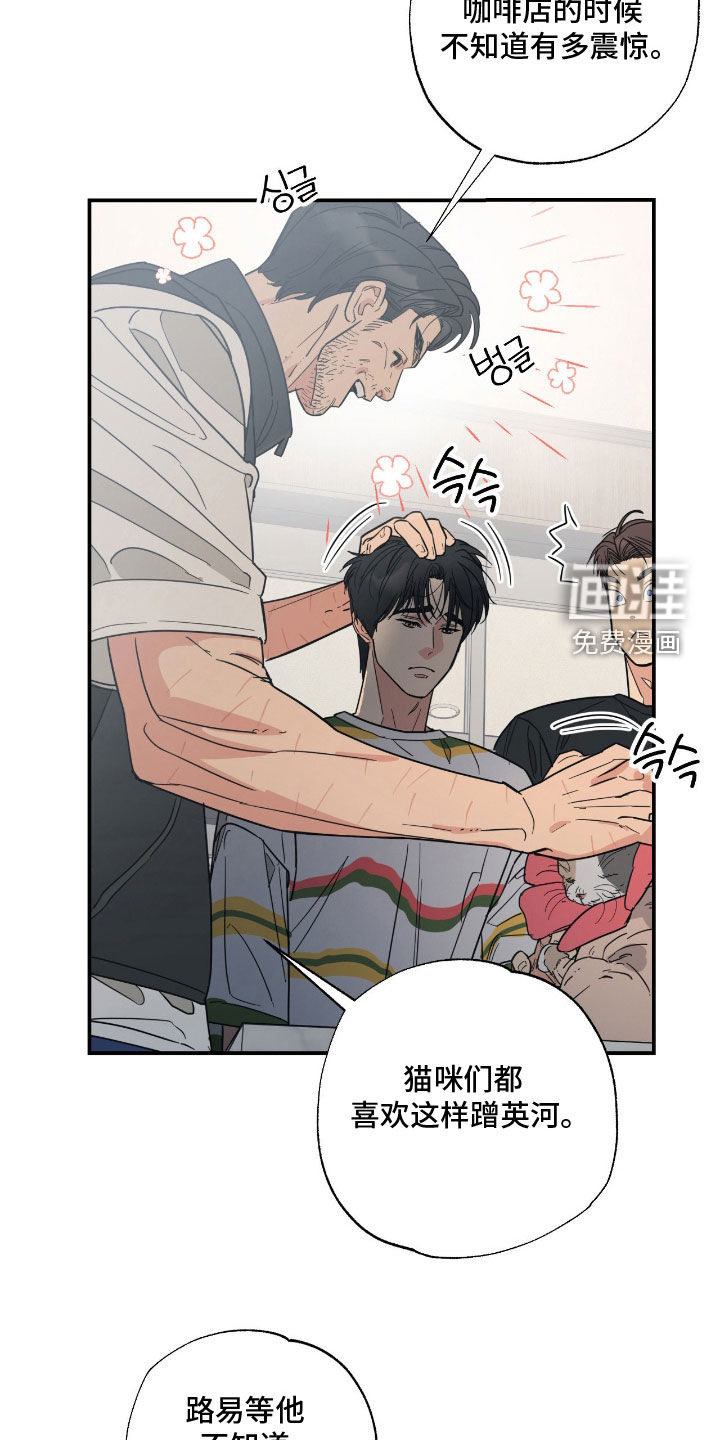 猫大爷和我漫画-图6