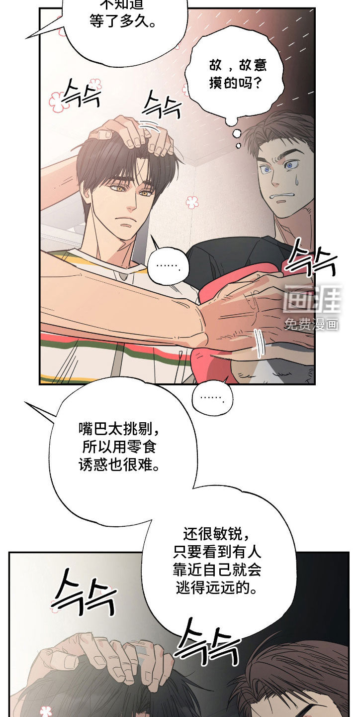 猫大爷和我漫画-图7