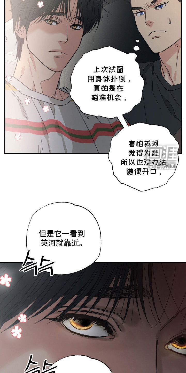 猫大爷和我漫画-图8