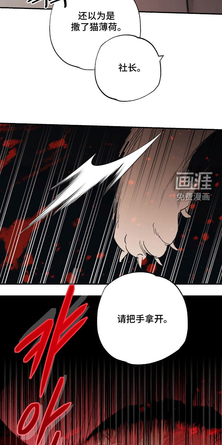 猫大爷和我漫画-图9