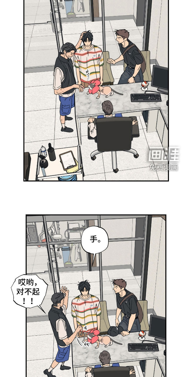 猫大爷和我漫画-图11