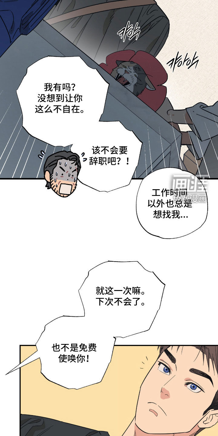 猫大爷和我漫画-图13