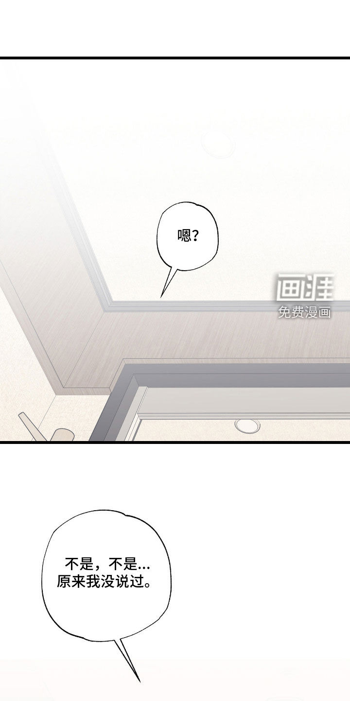 猫大爷和我漫画-图15