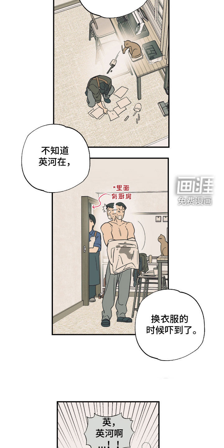 猫大爷和我漫画-图17
