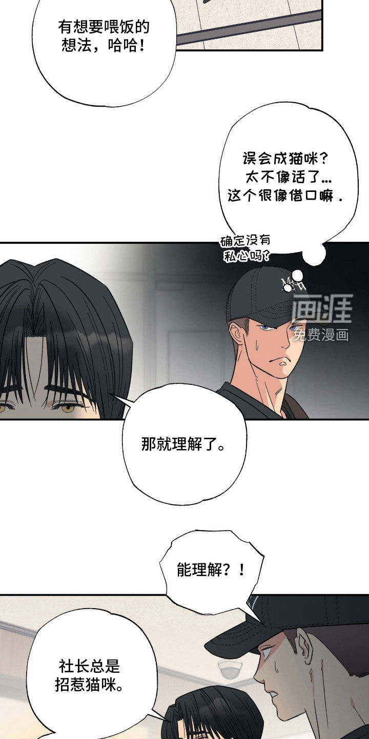 猫大爷和我漫画-图20