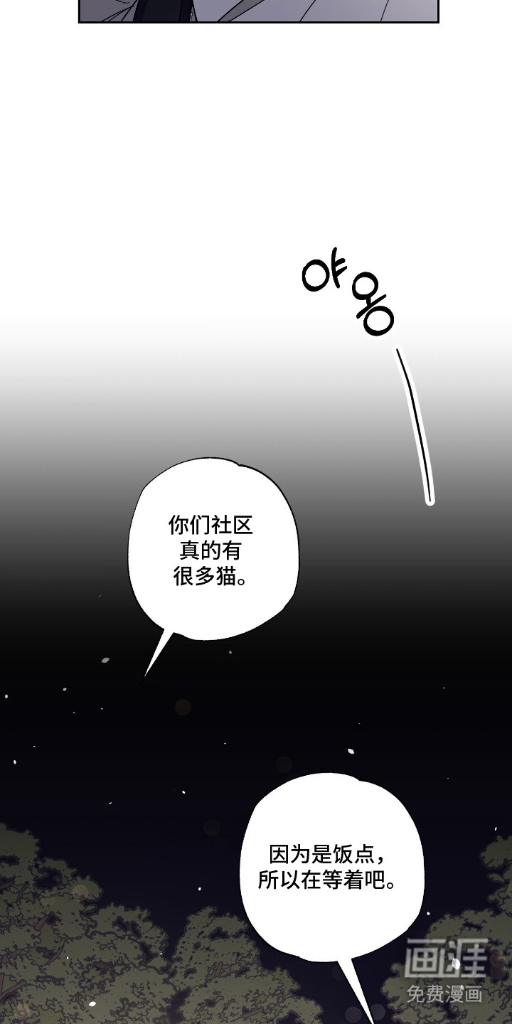 猫大爷和我漫画-图9