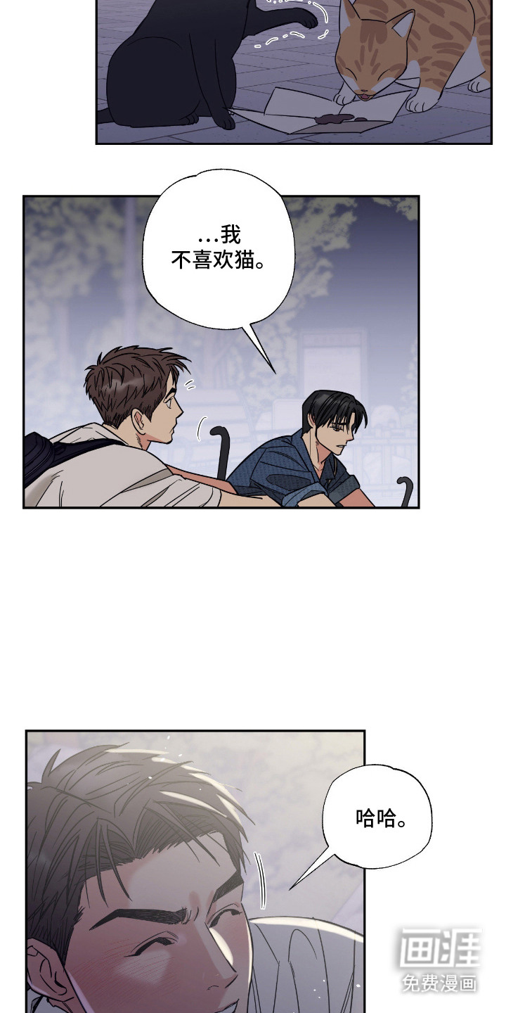 猫大爷和我漫画-图11