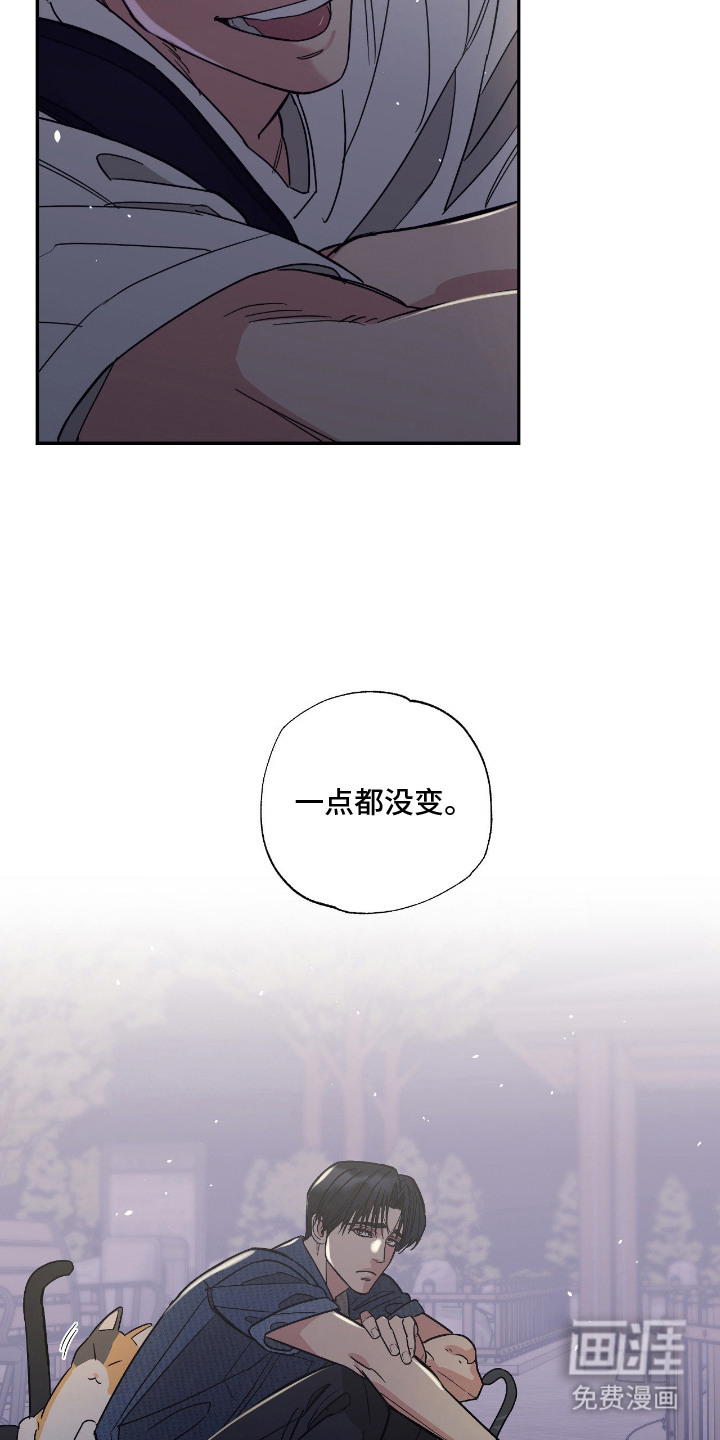 猫大爷和我漫画-图12