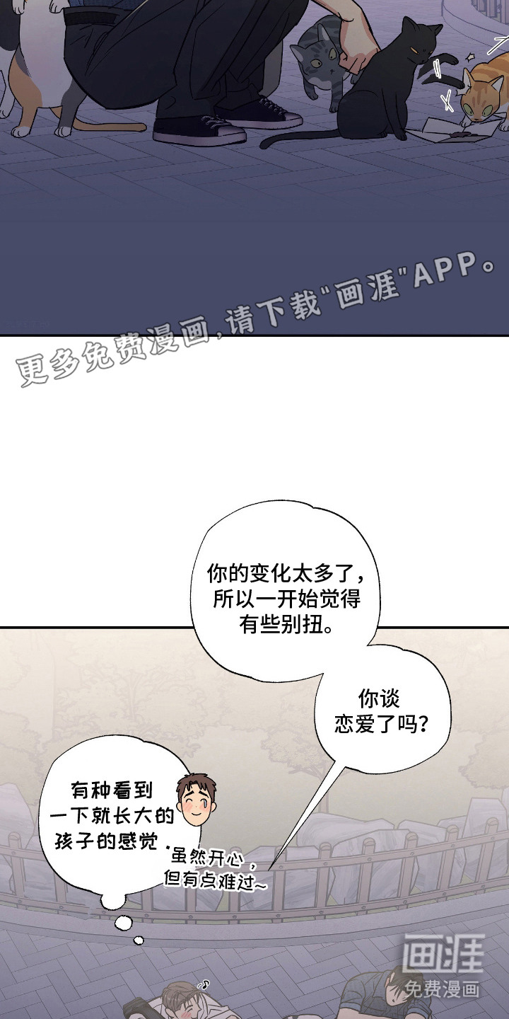 猫大爷和我漫画-图13