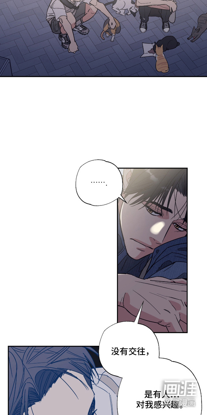 猫大爷和我漫画-图14