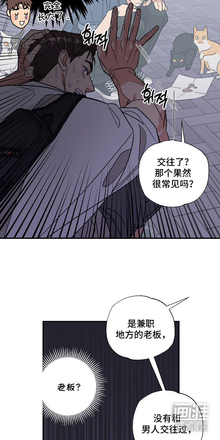 猫大爷和我漫画-图16