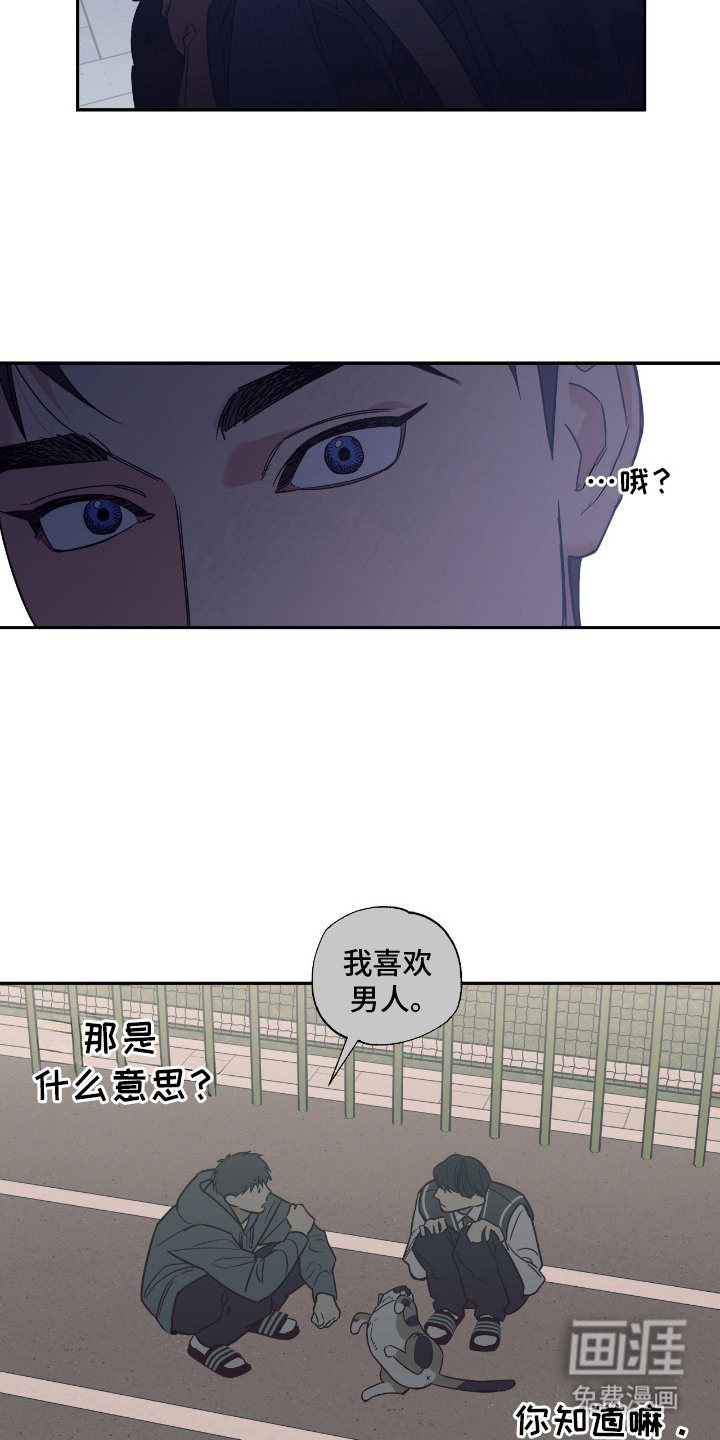 猫大爷和我漫画-图19