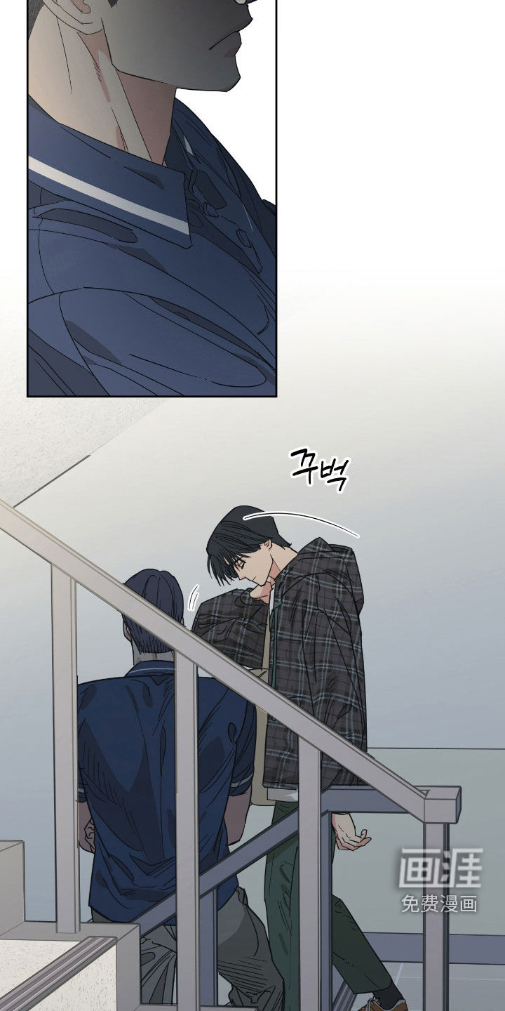 猫大爷和我漫画-图5