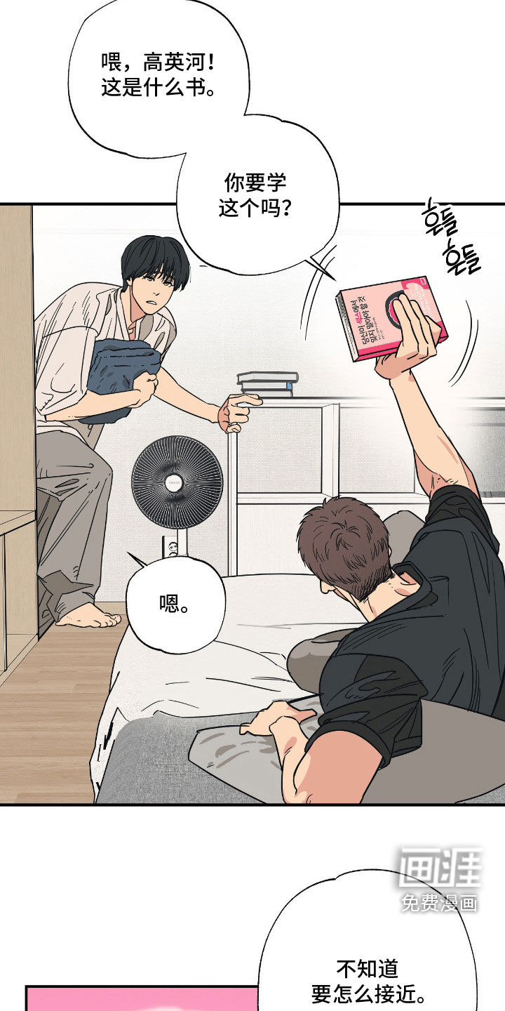 猫大爷和我漫画-图8