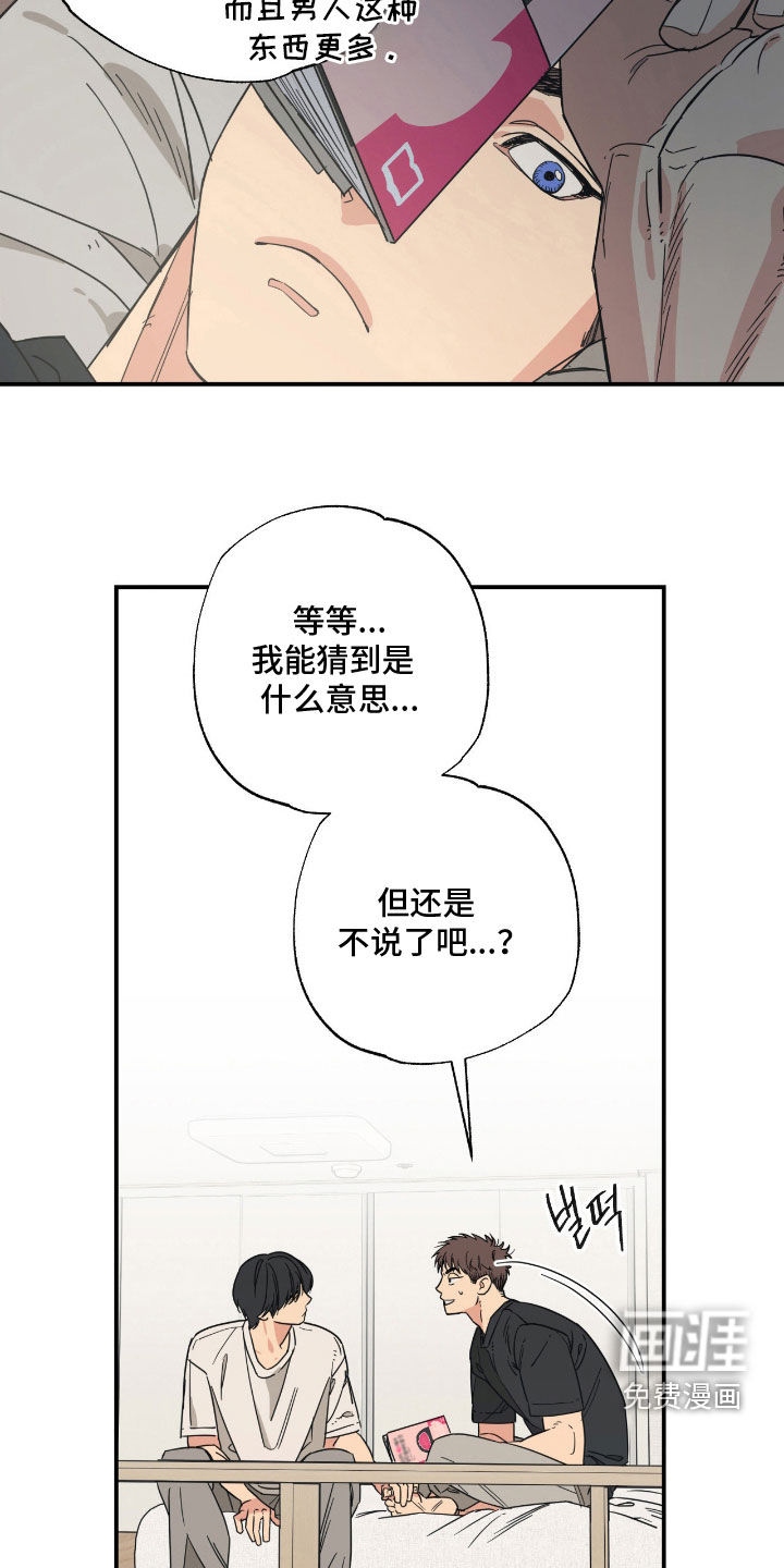 猫大爷和我漫画-图15