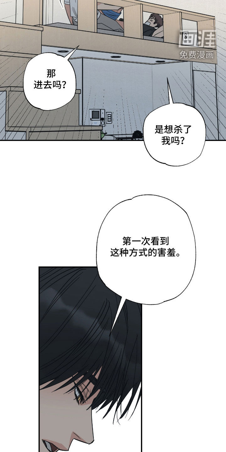 猫大爷和我漫画-图7