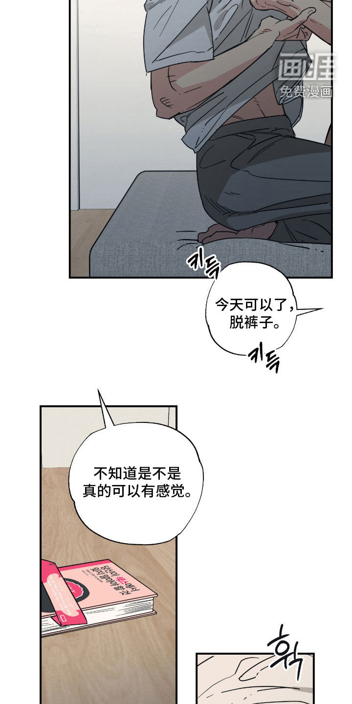 猫大爷和我漫画-图10