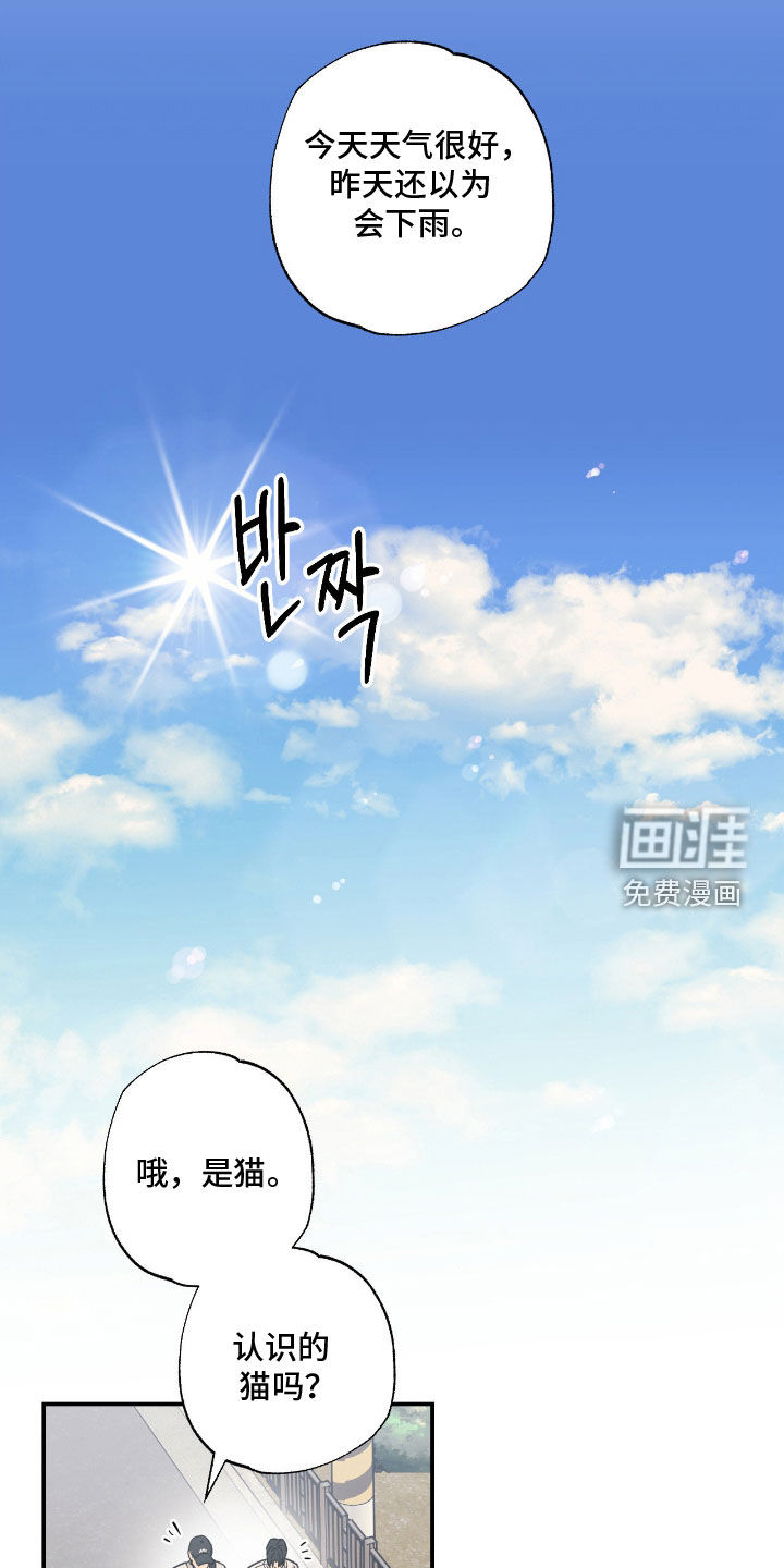 猫大爷和我漫画-图14