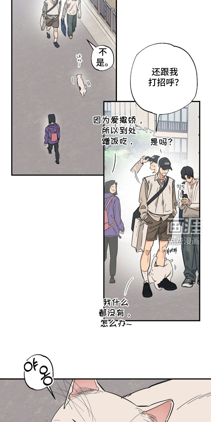 猫大爷和我漫画-图15