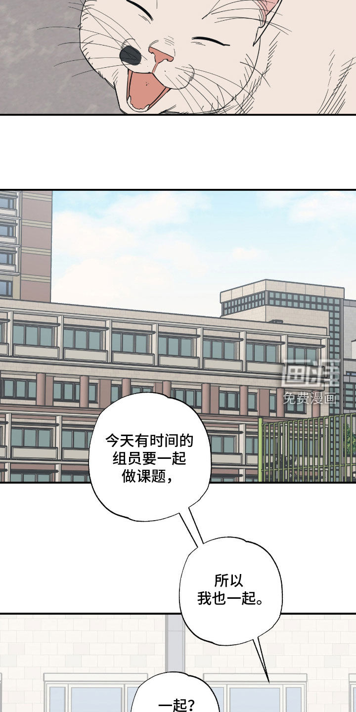 猫大爷和我漫画-图16