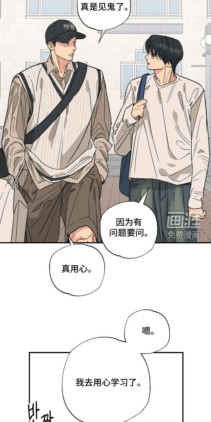 猫大爷和我漫画-图17