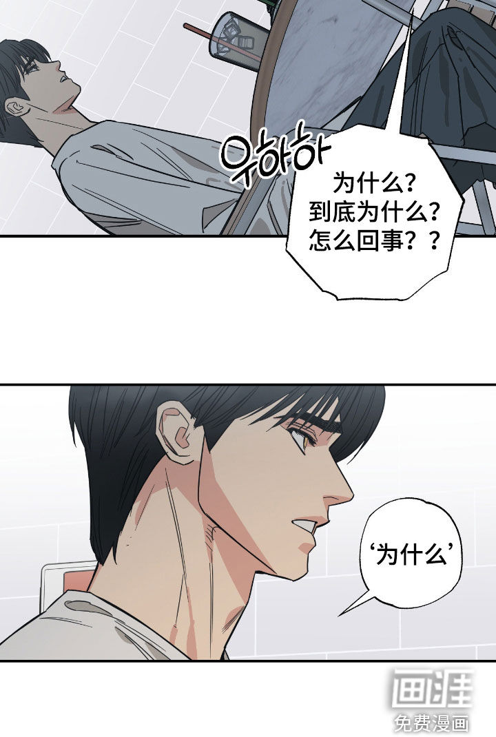猫大爷和我漫画-图15