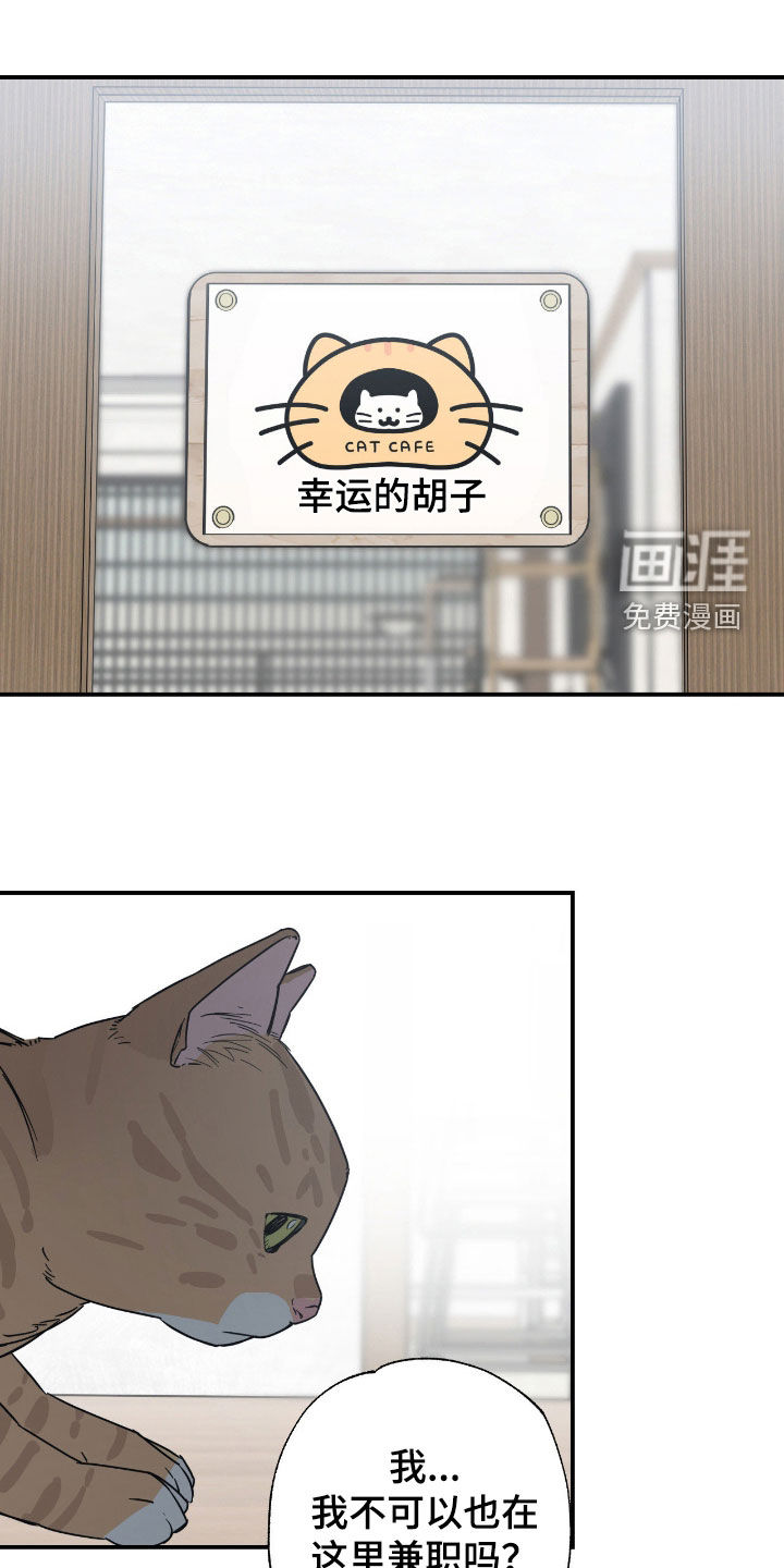 猫大爷和我第24话第1页