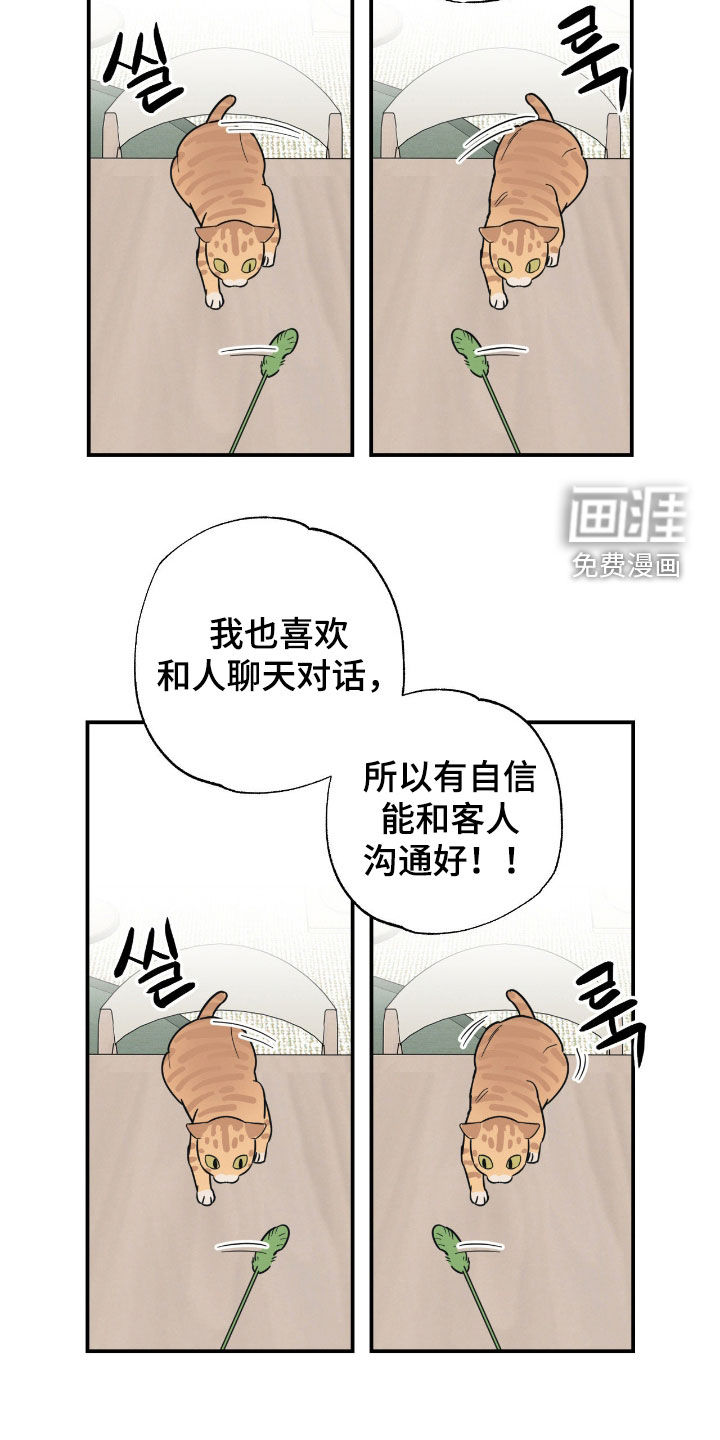 猫大爷和我漫画-图3