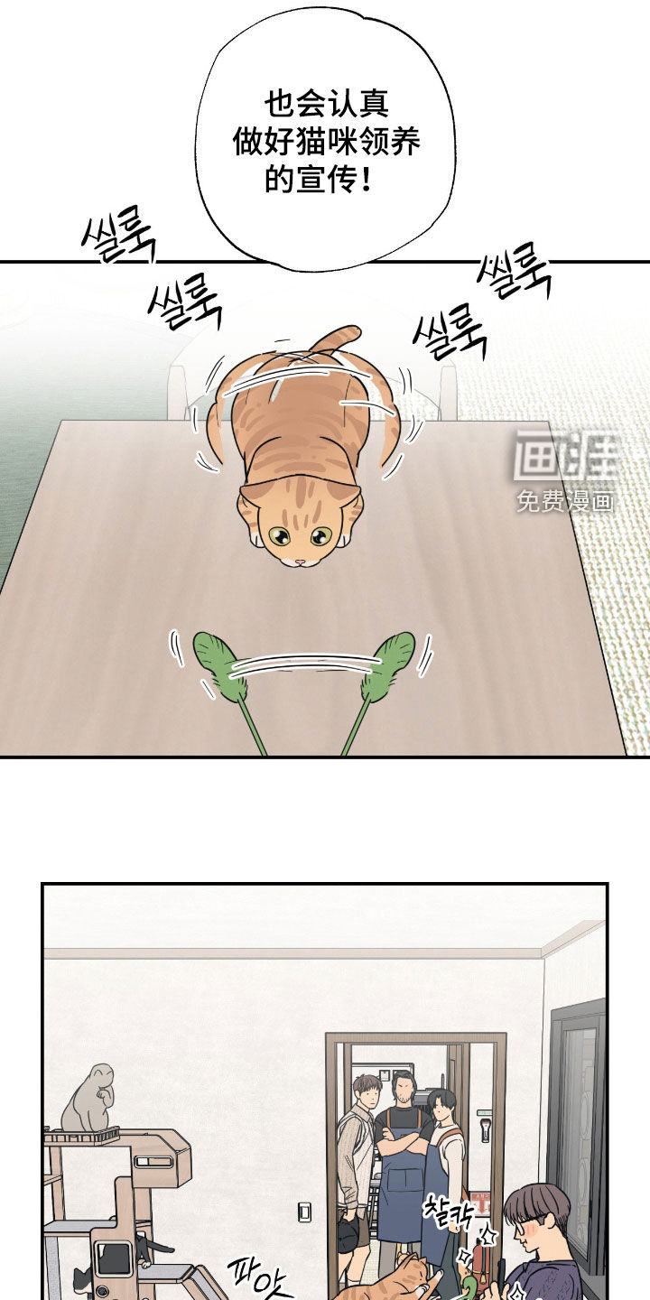 猫大爷和我漫画-图4