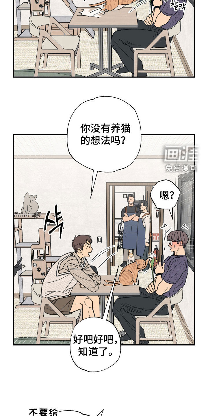 猫大爷和我漫画-图5