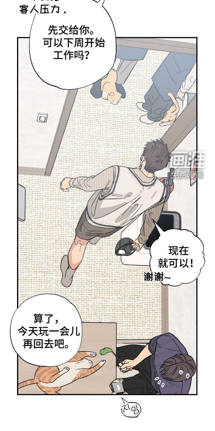 猫大爷和我漫画-图6