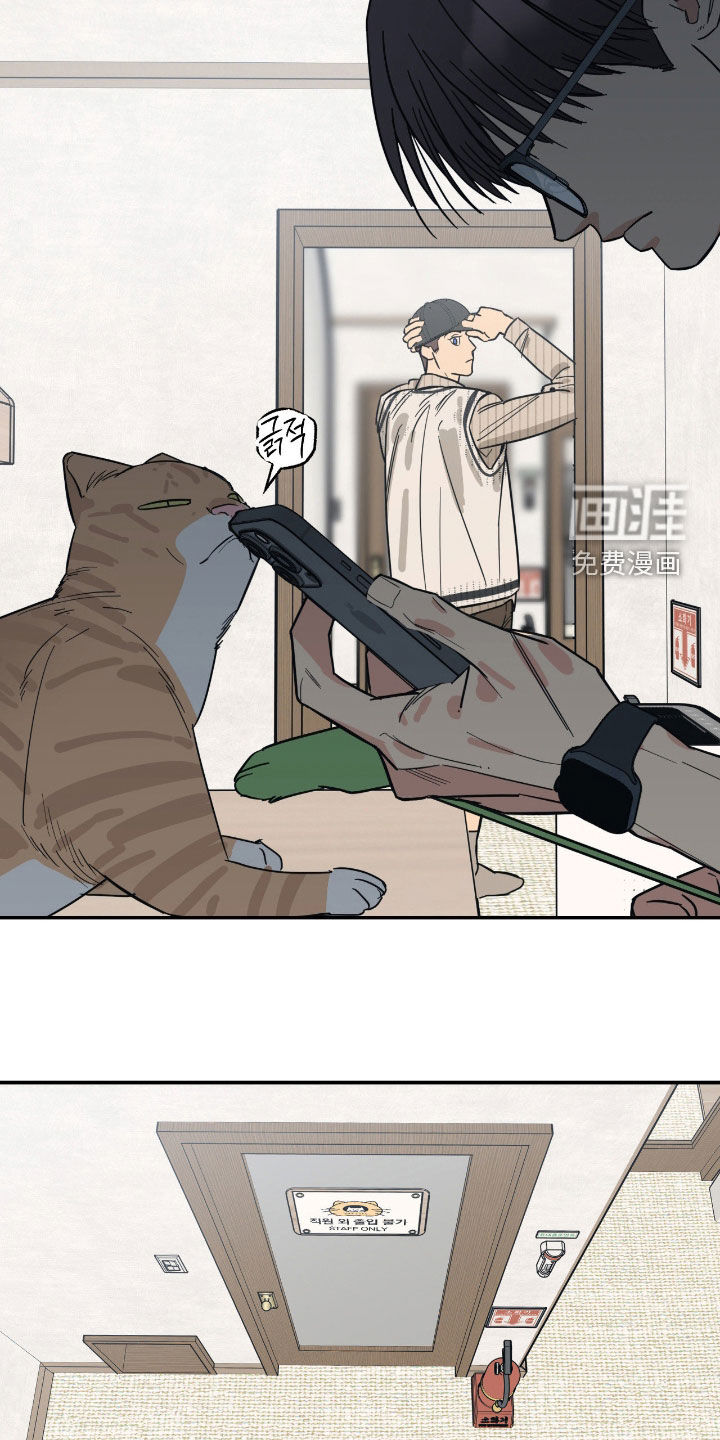 猫大爷和我漫画-图8