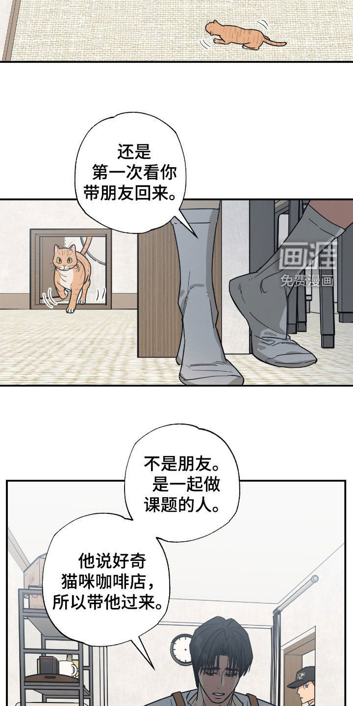 猫大爷和我漫画-图9