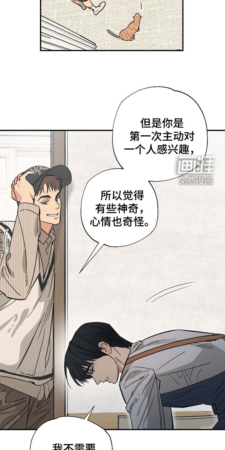 猫大爷和我漫画-图12